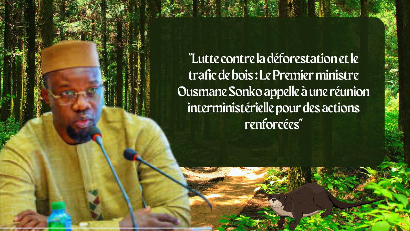 « Lutte contre la déforestation et le trafic de bois : Le Premier ministre Ousmane Sonko appelle à une réunion interministérielle pour des actions renforcées »