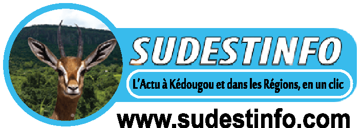 SUDESTINFO